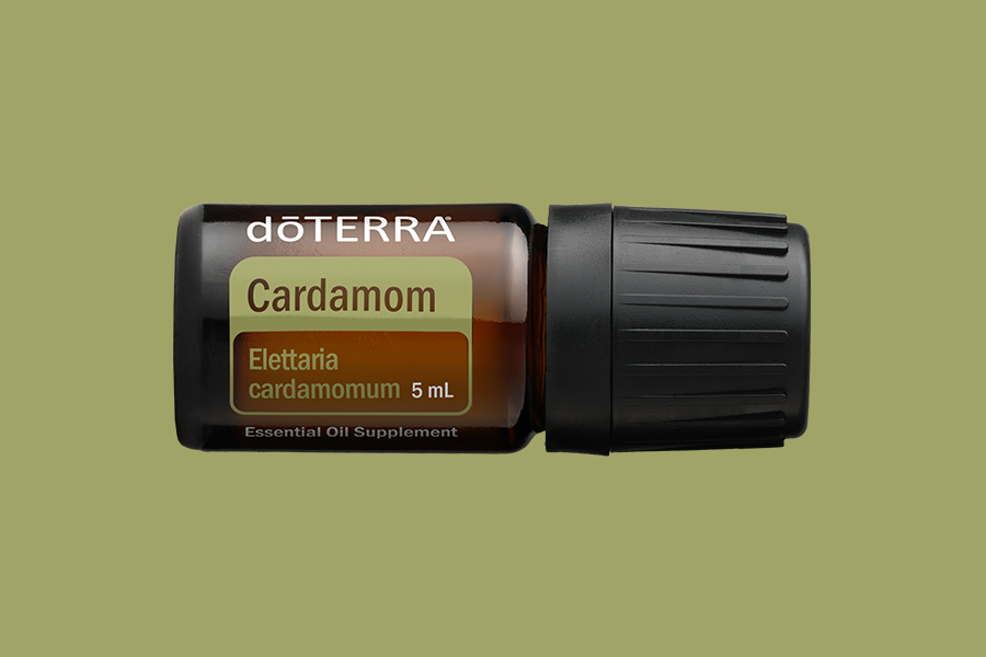 Cardamom (Kardamom)