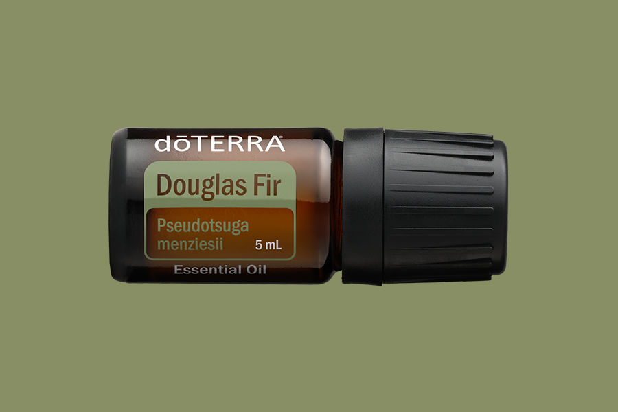 Douglas Fir (Douglasie)