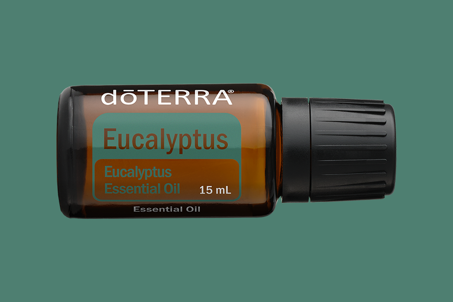 Eucalyptus (Eukalyptus)