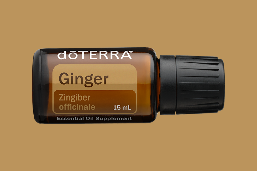 Ginger (Ingwer)
