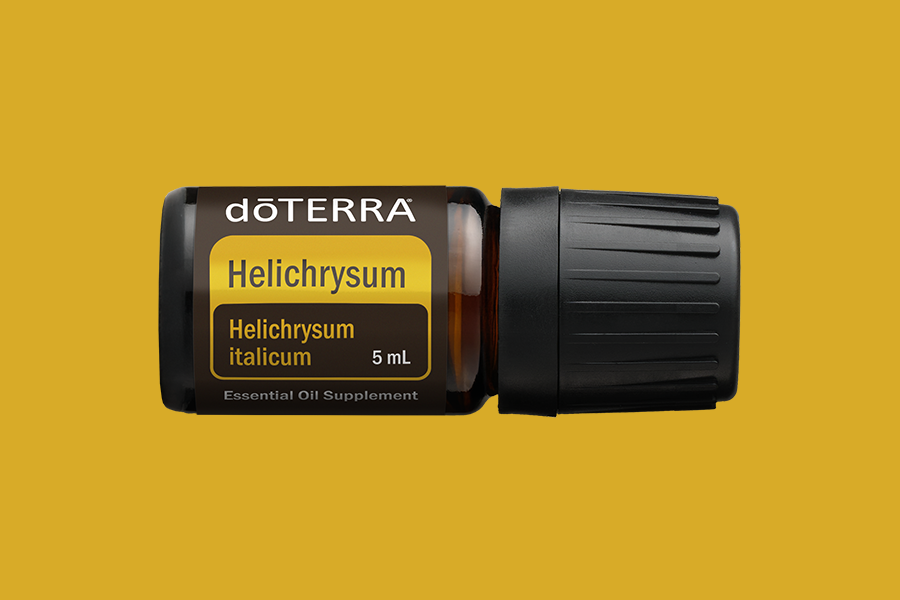 Helichrysum (Strohblume)