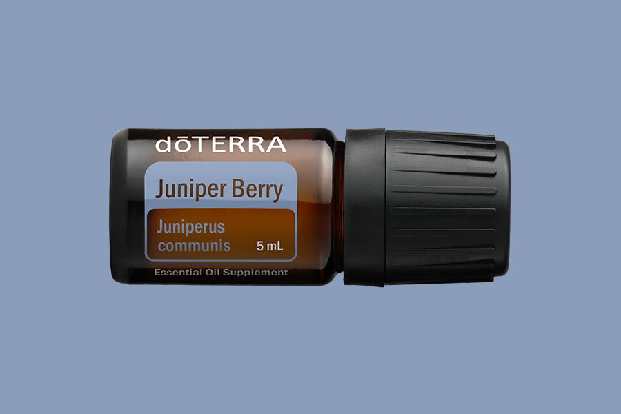 Juniper Berry (Wacholderbeere)
