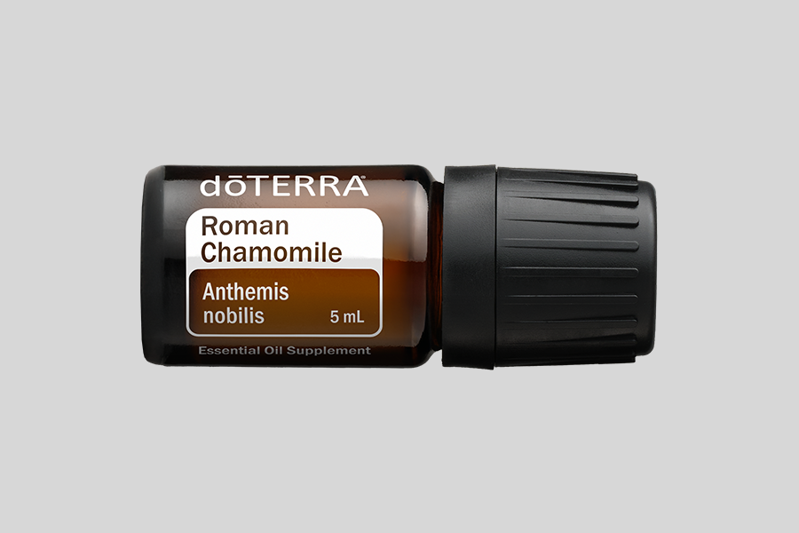 Roman Chamomile (Römische Kamille)